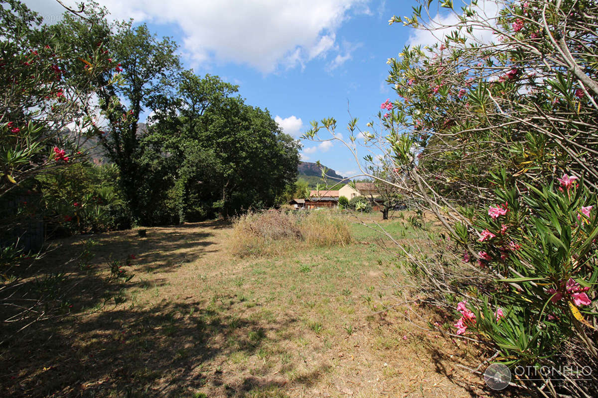 Terrain à ROQUEBRUNE-SUR-ARGENS