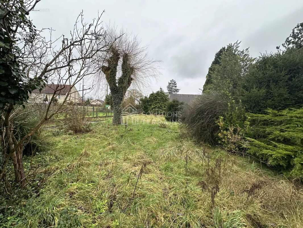 Terrain à BUTRY-SUR-OISE