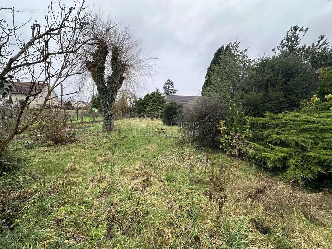 Terrain à BUTRY-SUR-OISE