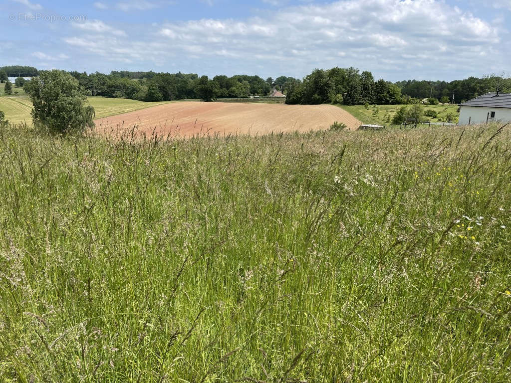 Terrain à JUILLAC