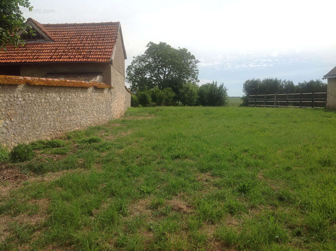 Terrain à BEVILLE-LE-COMTE