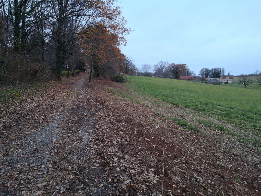 Terrain à SEILHAC