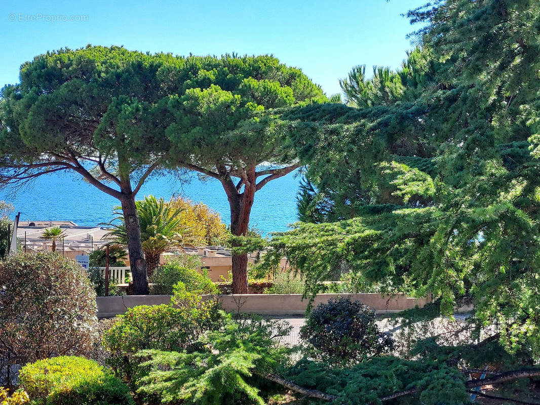 Maison à AJACCIO