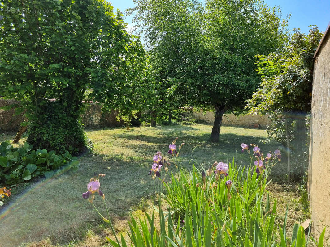 Maison à CHEVANNES