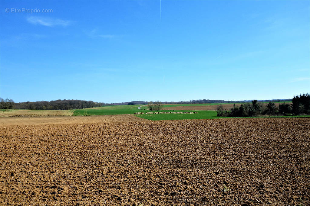 Terrain à CREPY-EN-VALOIS