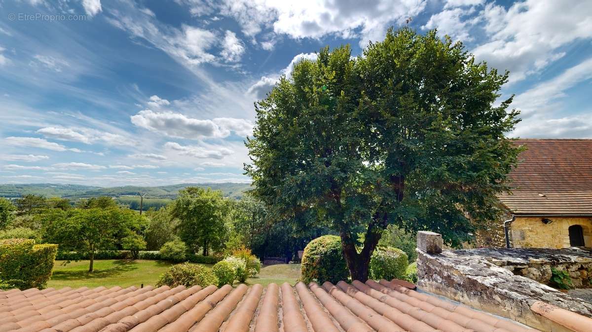 Ensemble-de-deux-maisons-ancienne-avec-vue-0808202 - Maison à SAINT-CYPRIEN