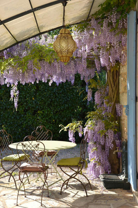 Terrasse - Maison à LE BUGUE