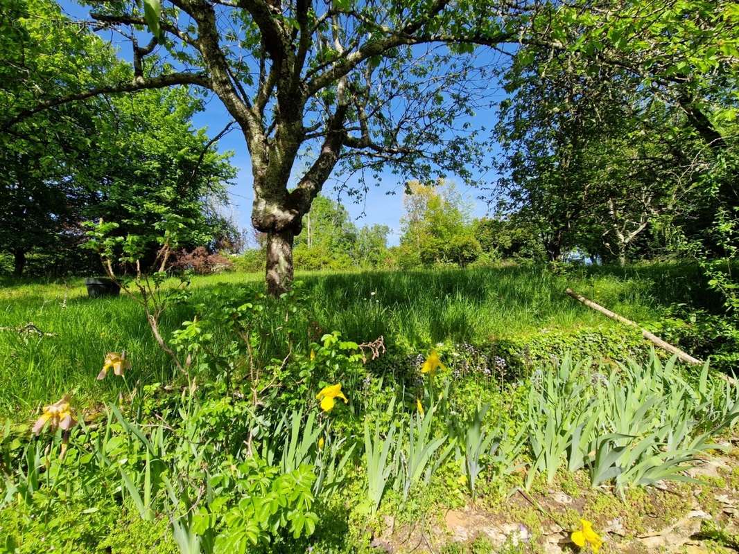 Jardin - Maison à LE BUGUE