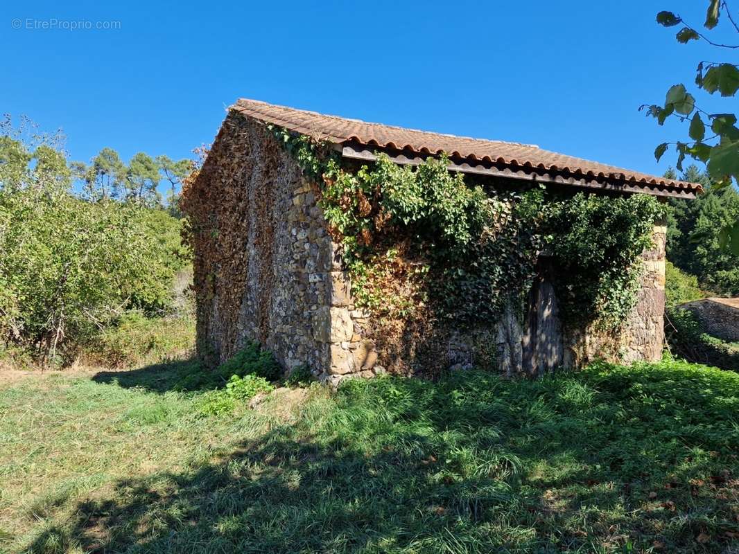 Ancien Chai - Maison à PROISSANS