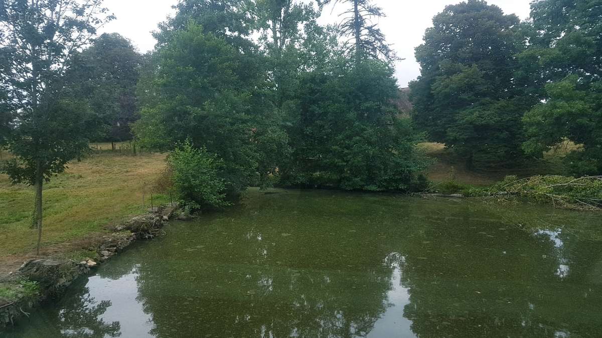 VUE ETANG VOISIN - Maison à LANOUAILLE