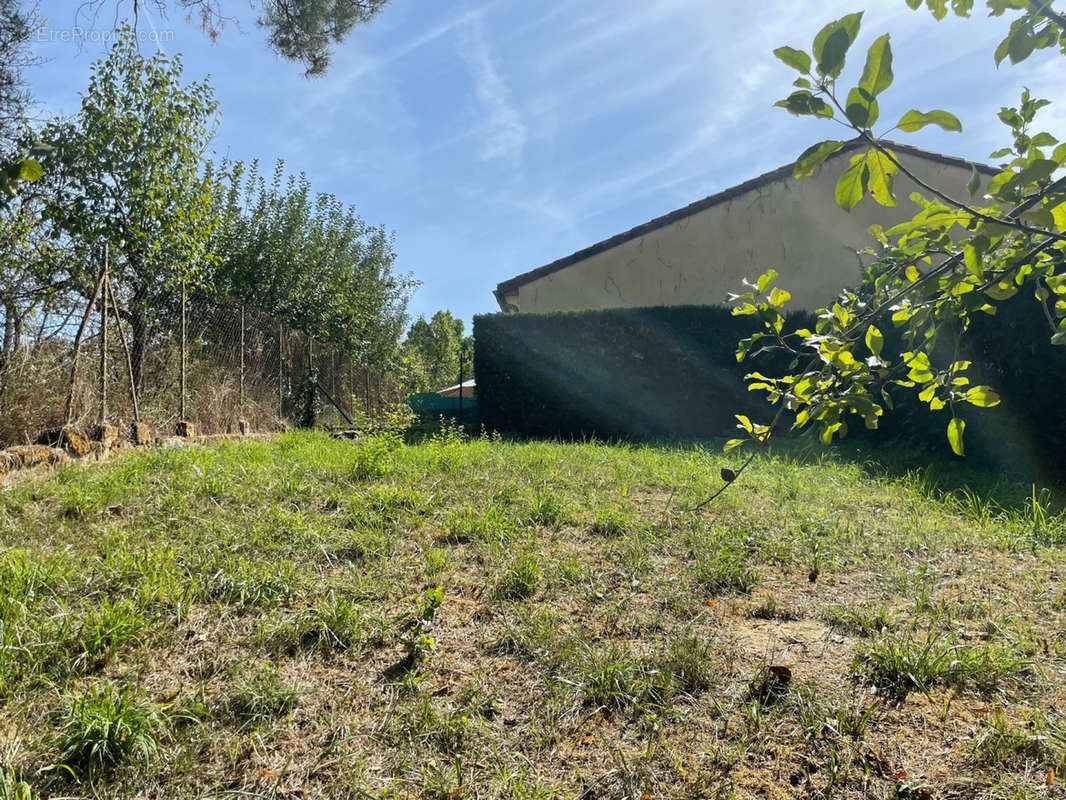 Jardin - Maison à SAINT-CYPRIEN