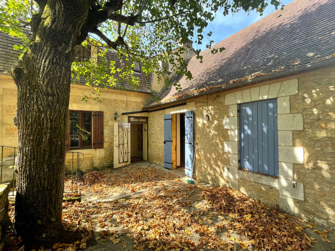 Maison d&#039;amis - Maison à SAINT-CYPRIEN