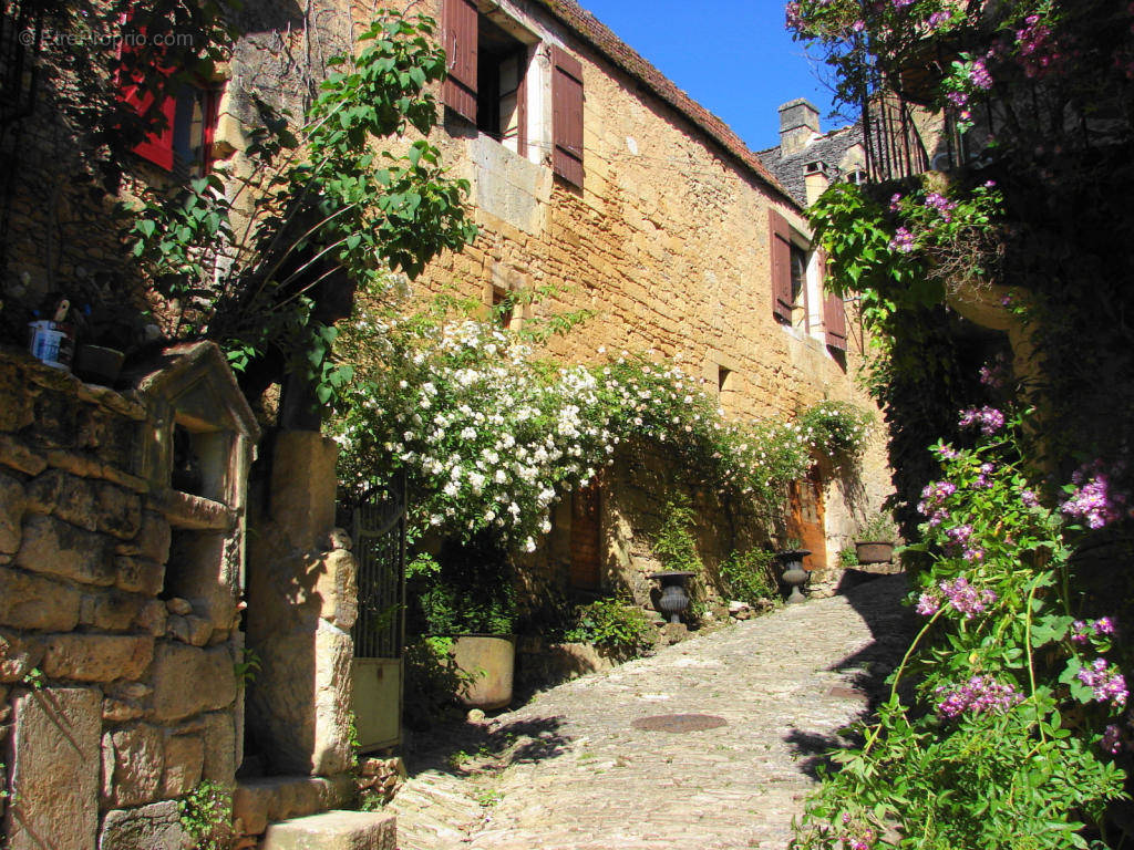 DSC00220 ) - Maison à SAINT-CYPRIEN