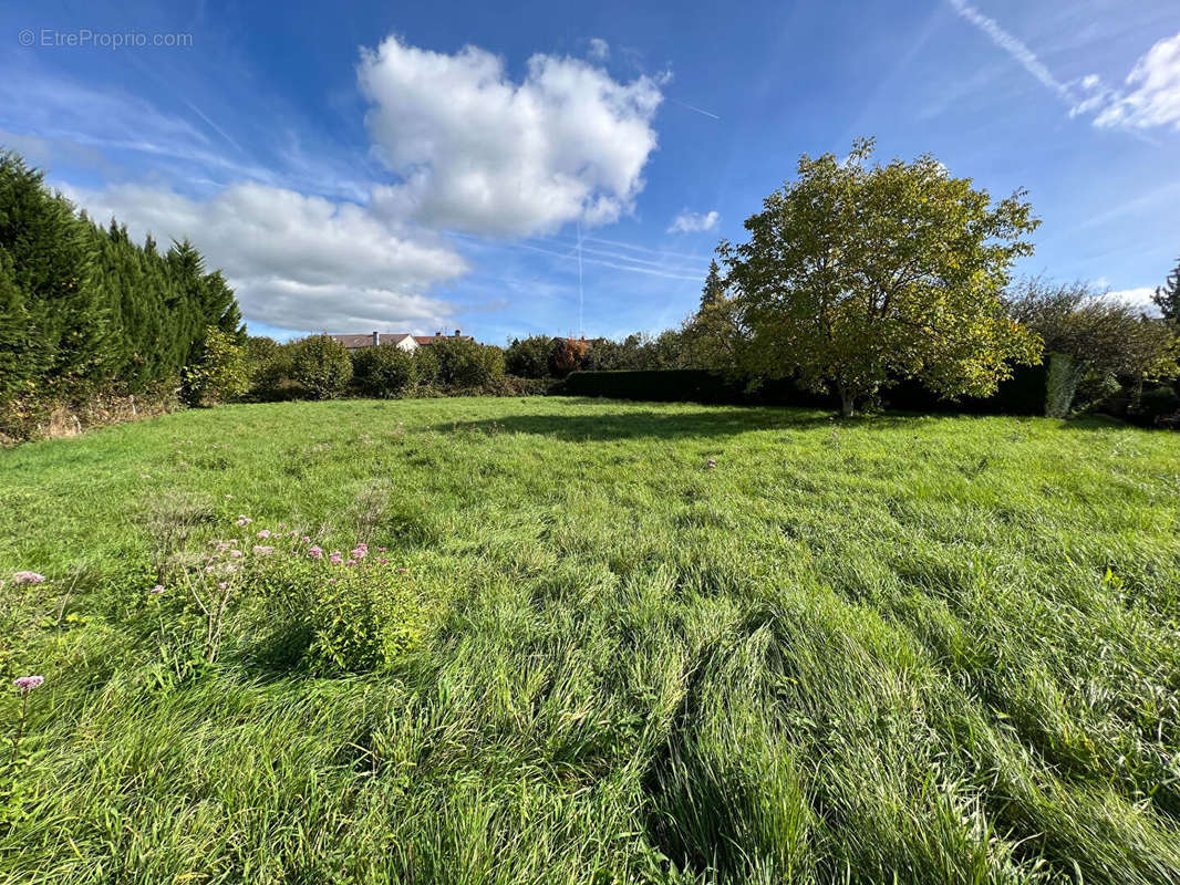 Terrain à LUXEUIL-LES-BAINS