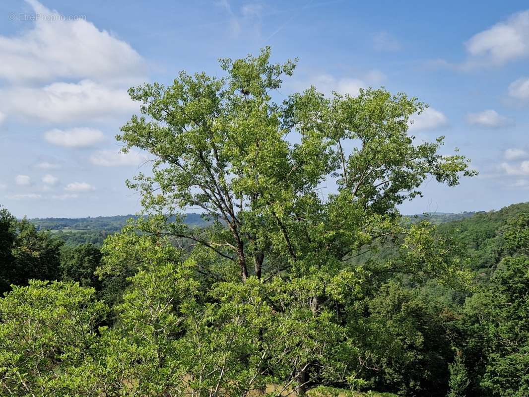 20230616_105532[1].jpg - Maison à TAMNIES