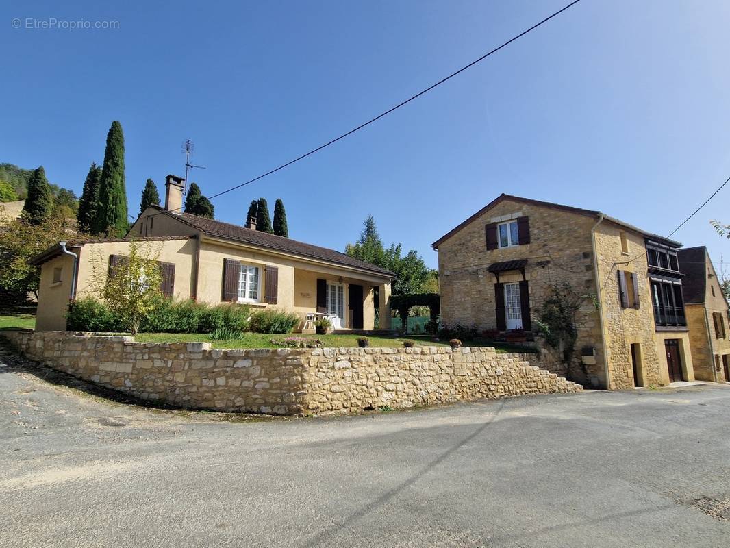 L&#039;ensemble - Maison à SAINT-CYPRIEN