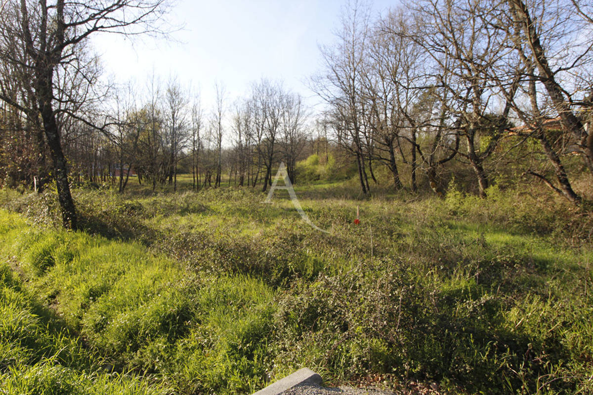 Terrain à MONTAUBAN