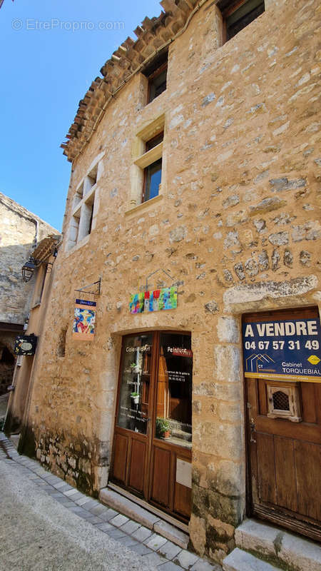 Maison à SAINT-GUILHEM-LE-DESERT