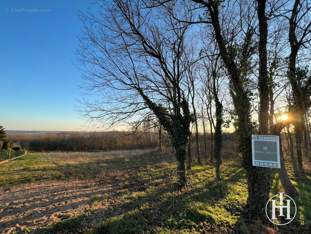 Terrain à SAINT-AMAND-MONTROND