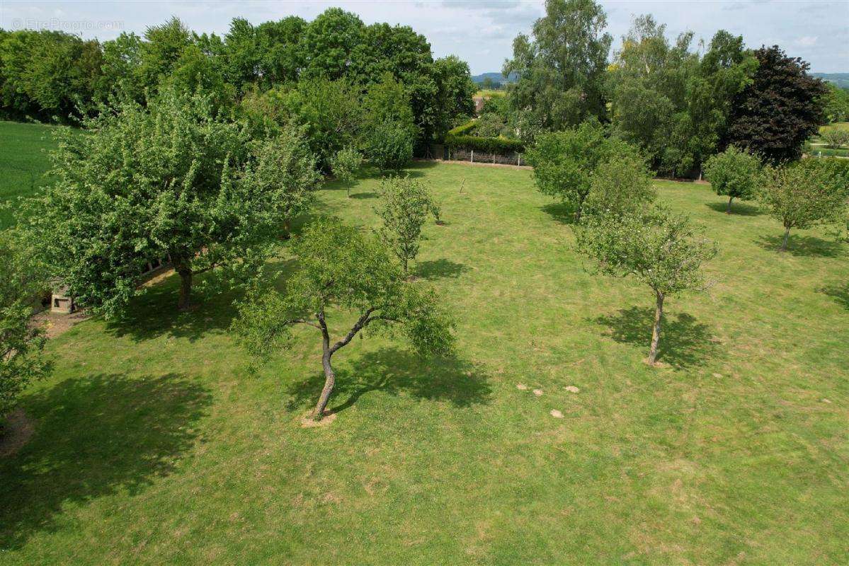 Terrain à SILLY-EN-GOUFFERN