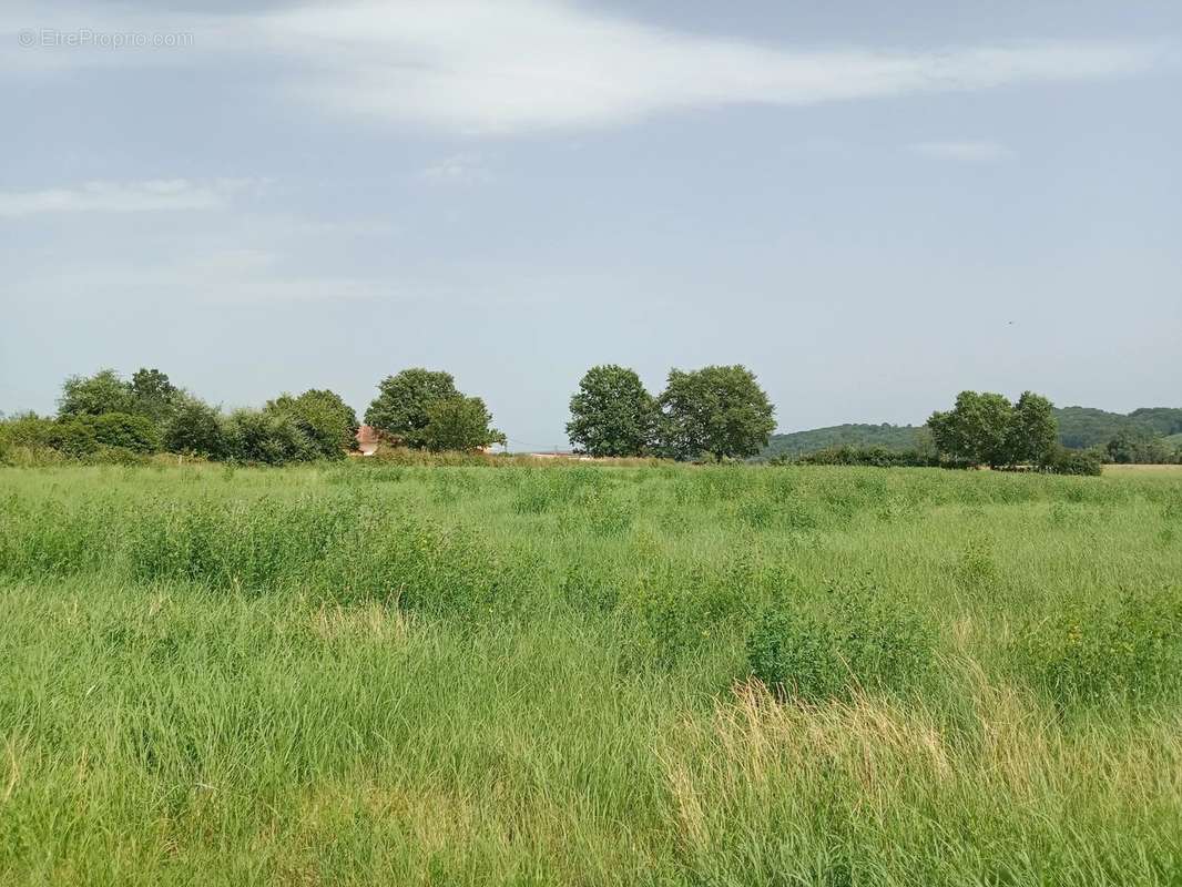 Terrain à CIADOUX