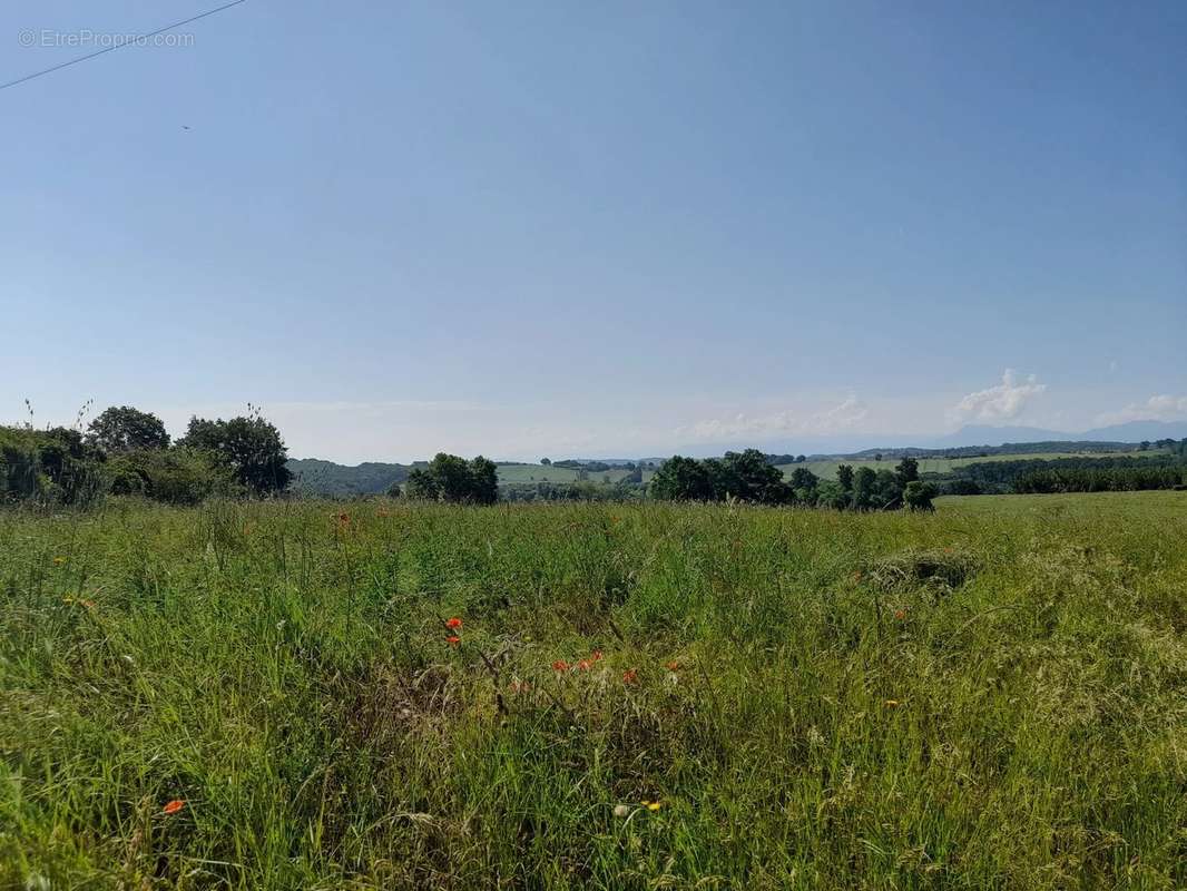 Terrain à CIADOUX