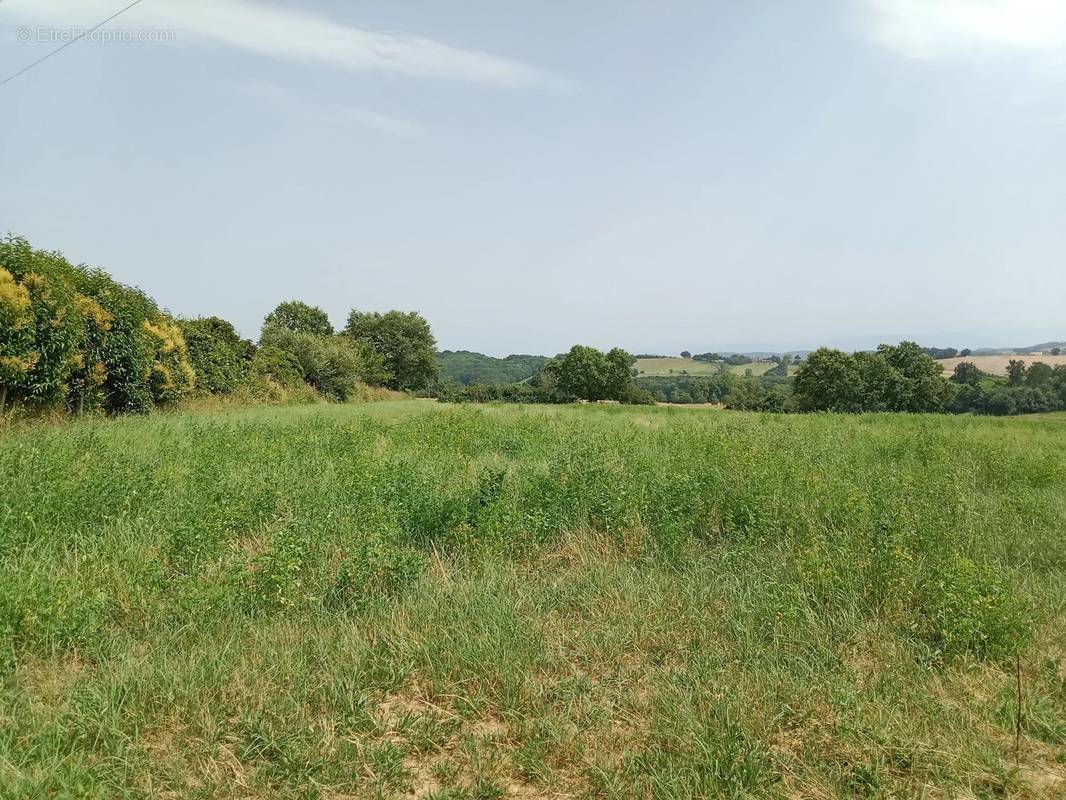 Terrain à CIADOUX