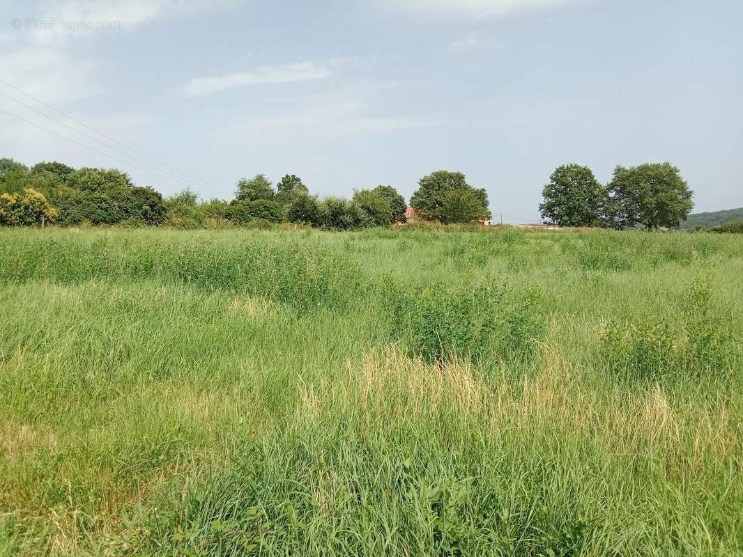 Terrain à CIADOUX