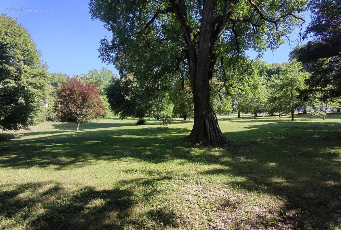 Parc - Maison à EXCIDEUIL