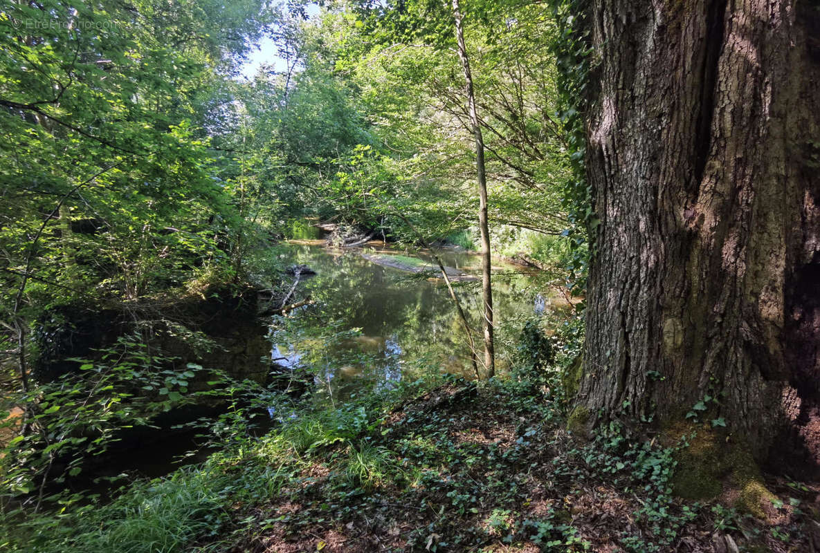 Rivière avec pont - Maison à EXCIDEUIL