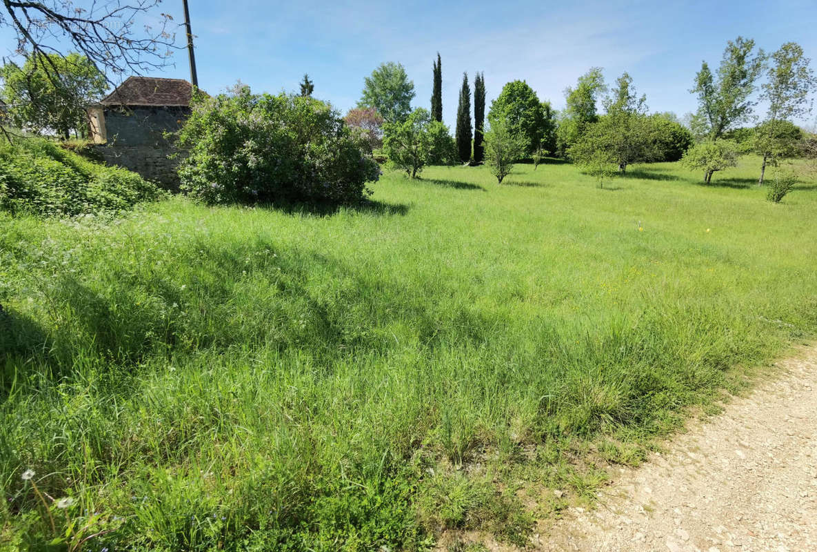 Terrain bas - Maison à THIVIERS