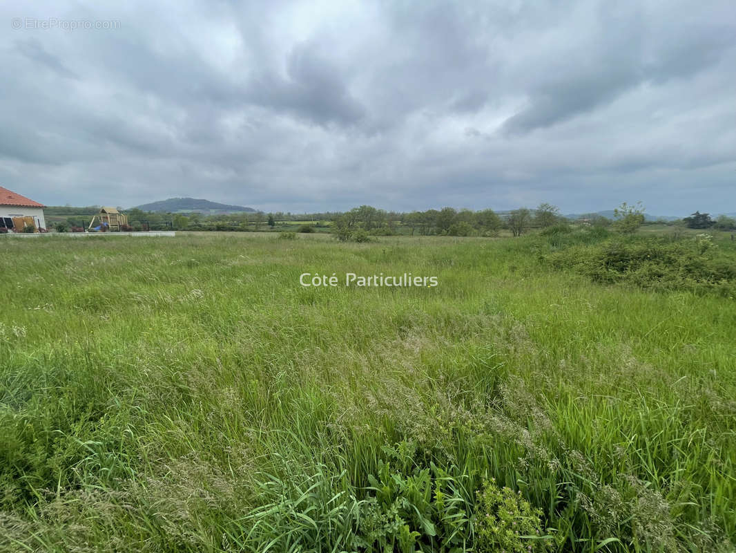 Terrain à SOLIGNAC-SUR-LOIRE