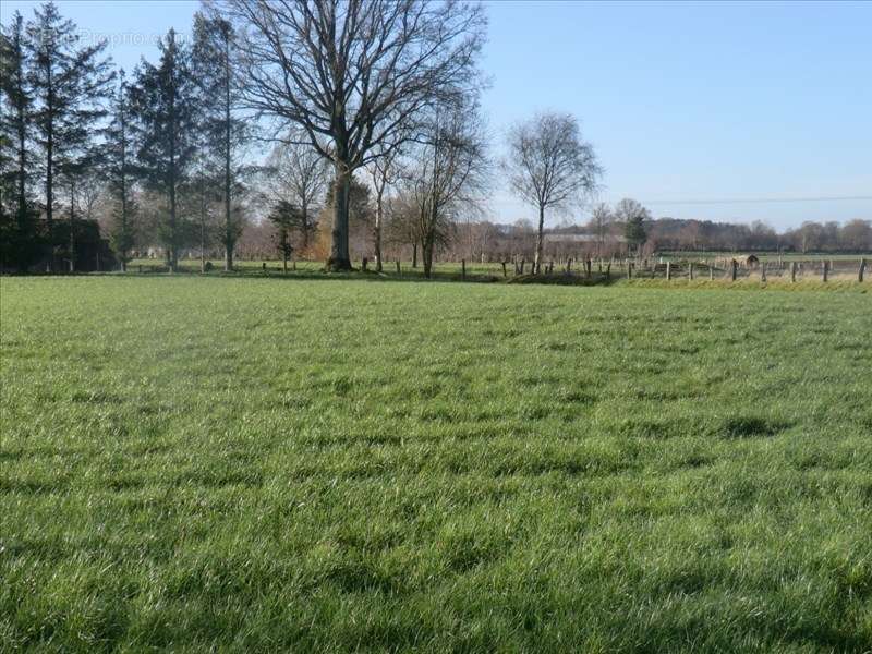 Terrain à PARIGNE