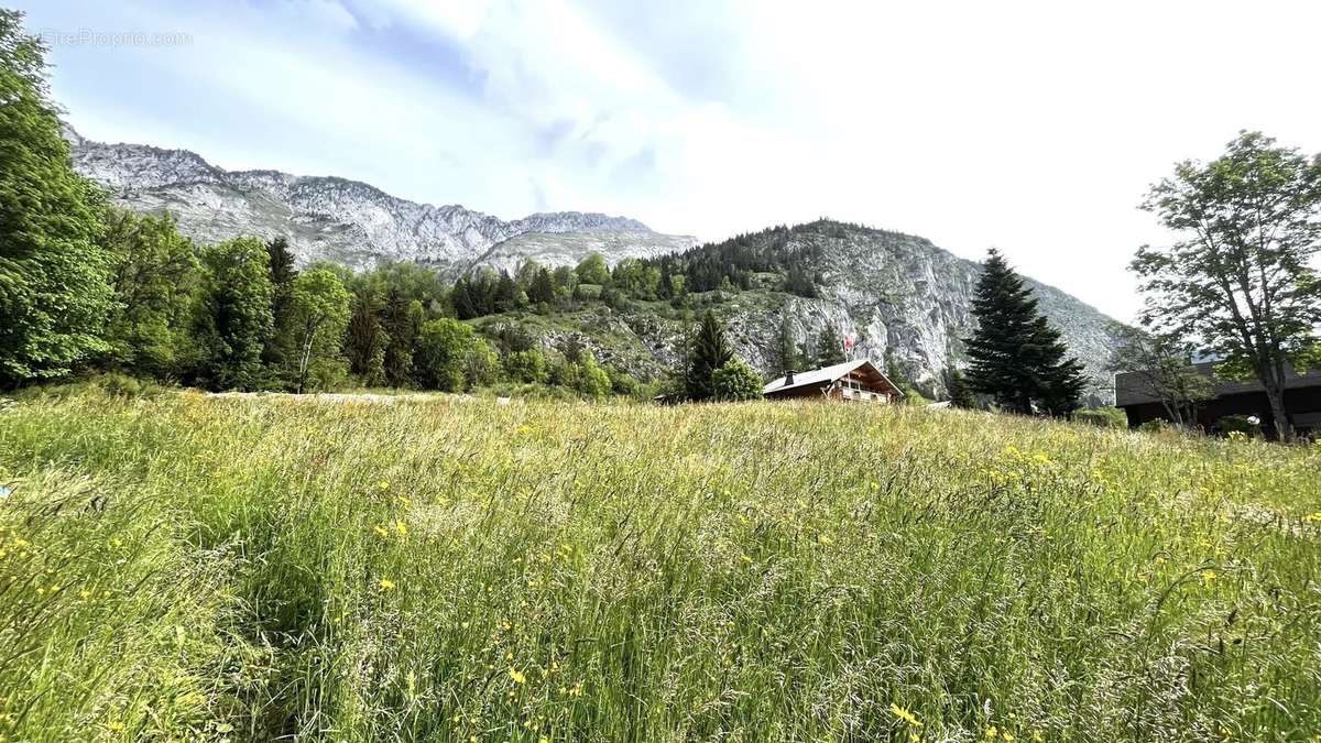 Terrain à ABONDANCE