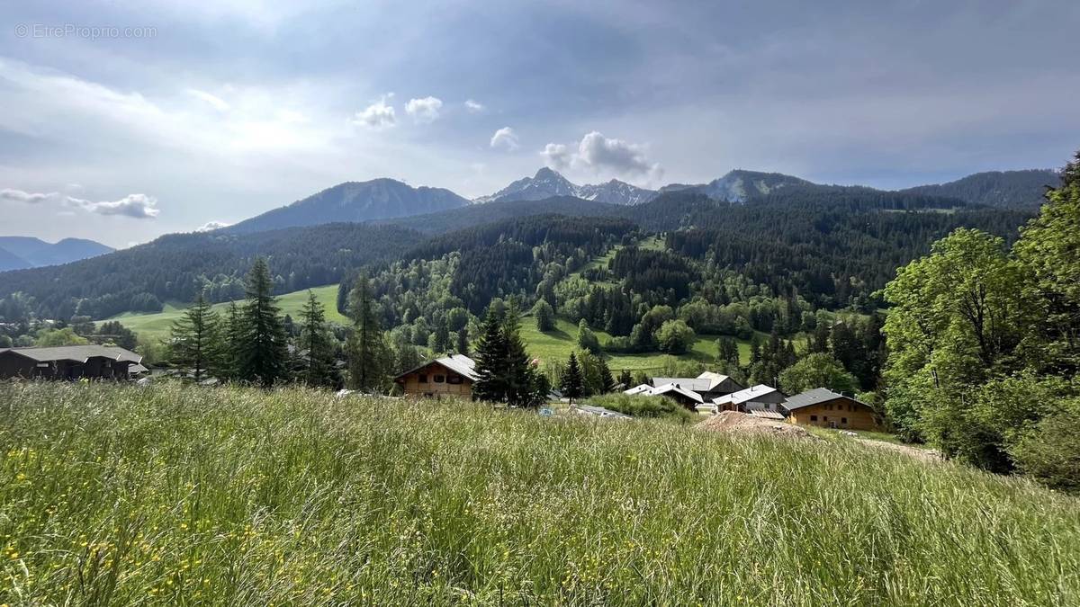 Terrain à ABONDANCE