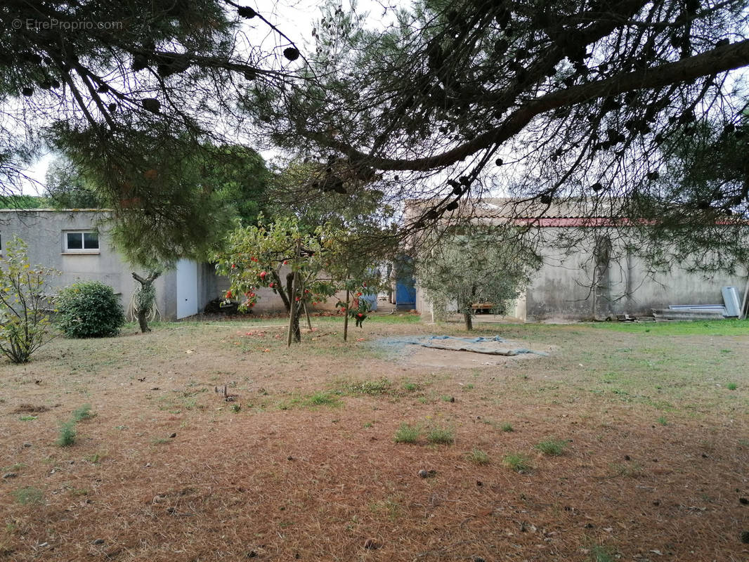 Maison à RIEUX-MINERVOIS