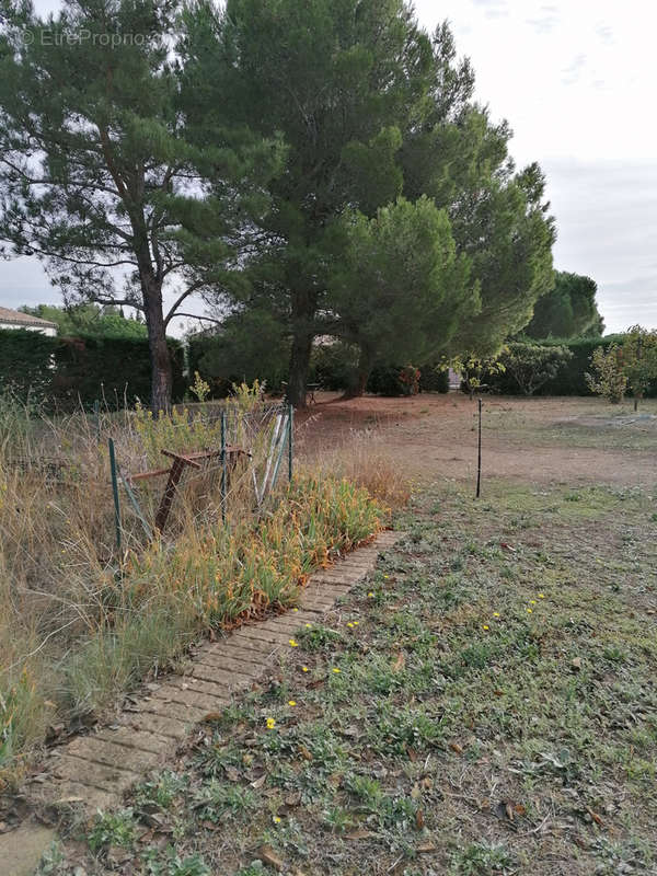 Maison à RIEUX-MINERVOIS