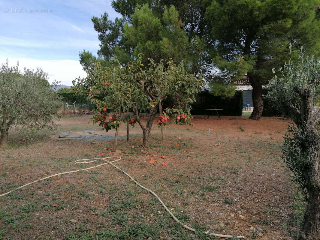 Maison à RIEUX-MINERVOIS