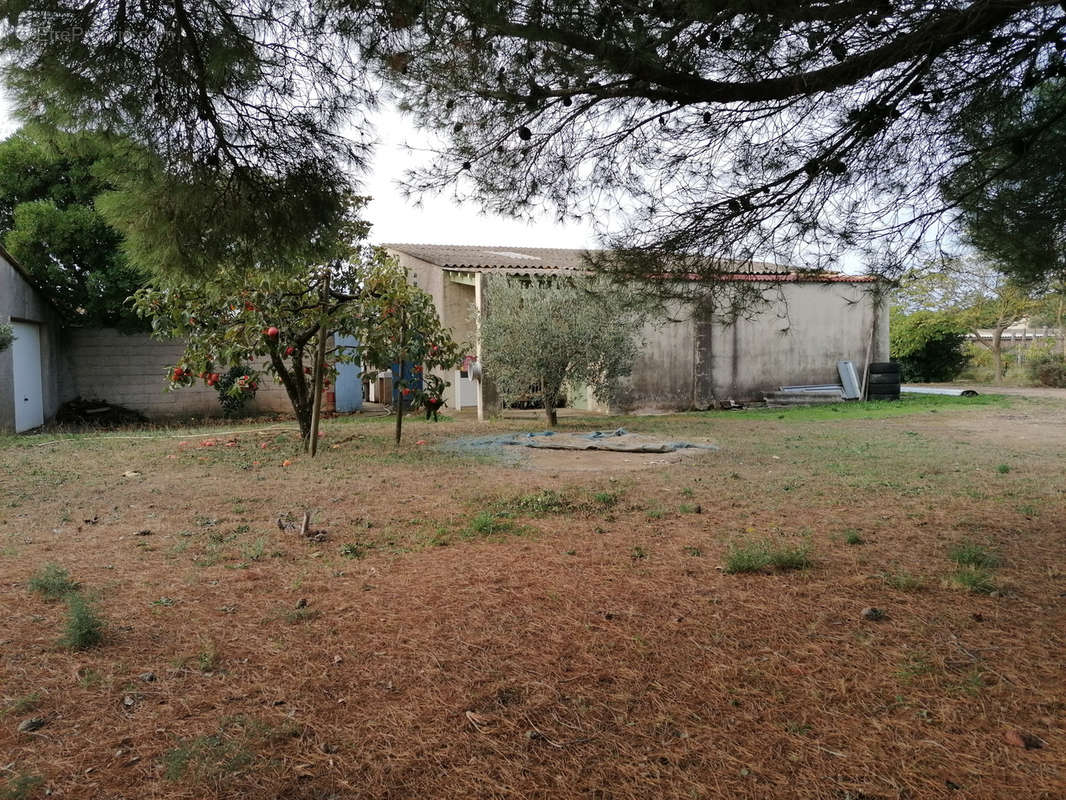 Maison à RIEUX-MINERVOIS