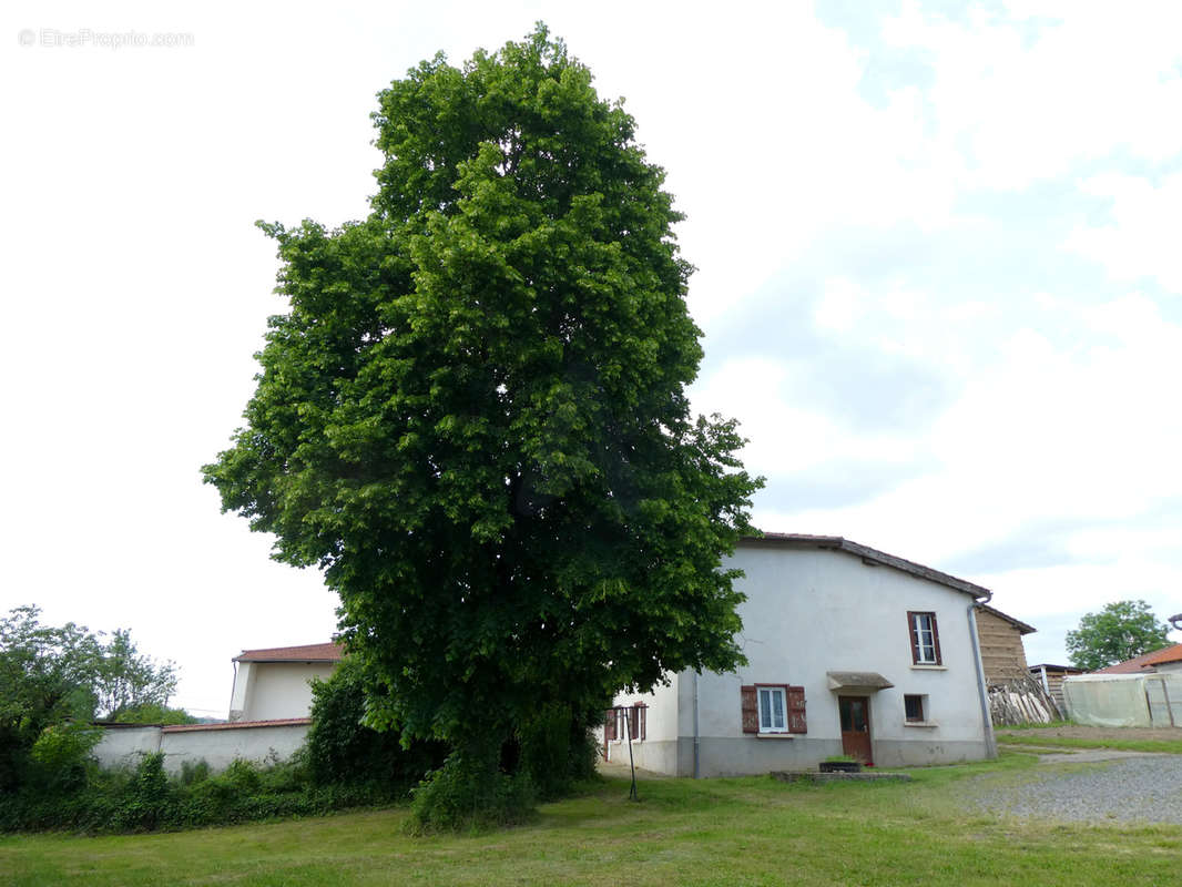 Maison à SAINT-LAURENT-DE-CHAMOUSSET