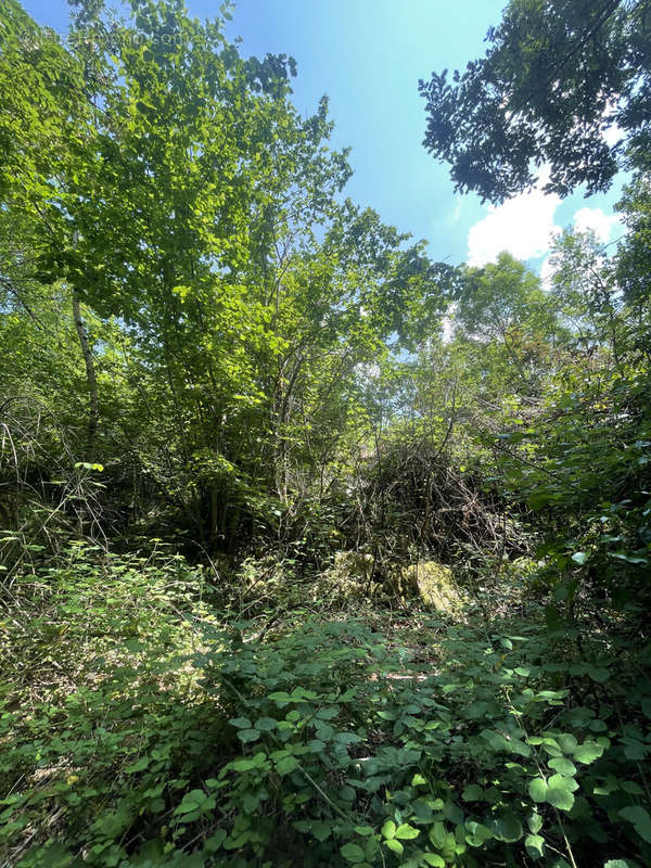 Terrain à VILLENEUVE-SUR-LOT