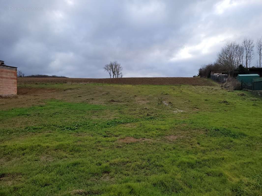 Terrain à BOUXIERES-AUX-CHENES