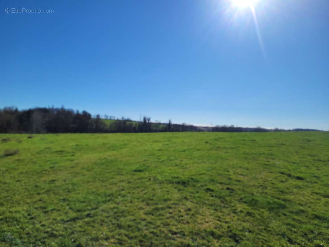 Terrain à BRIN-SUR-SEILLE