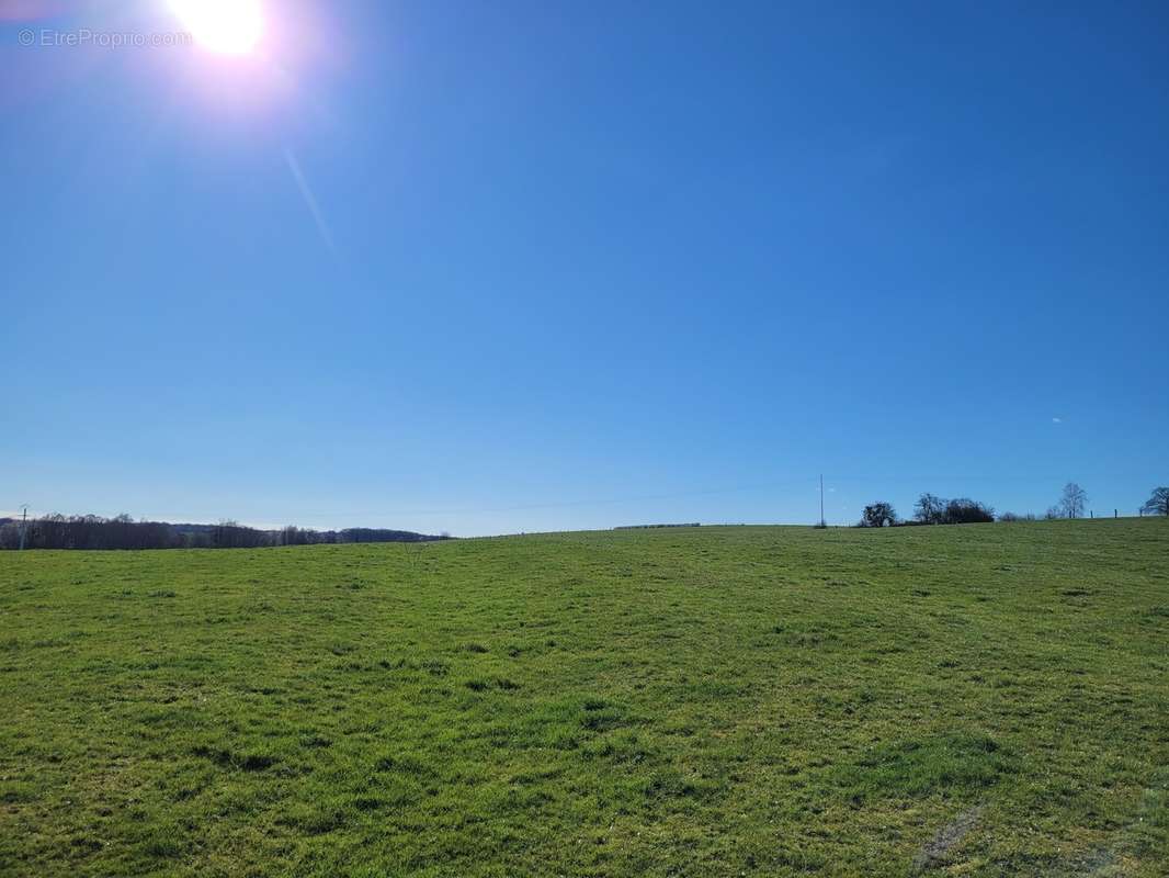 Terrain à BRIN-SUR-SEILLE