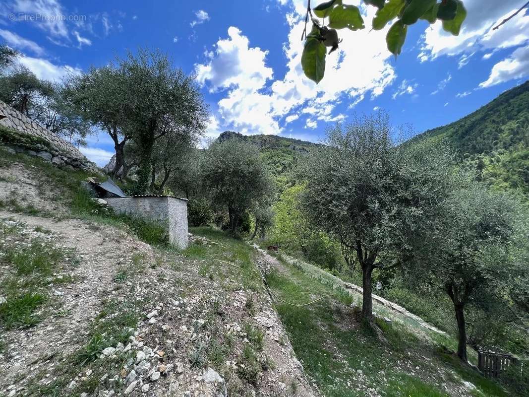 Terrain à TOUET-DE-L&#039;ESCARENE