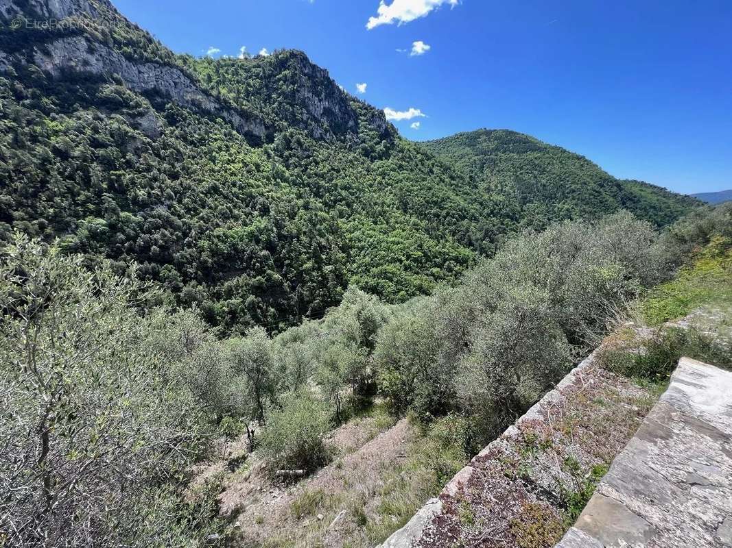 Terrain à TOUET-DE-L&#039;ESCARENE