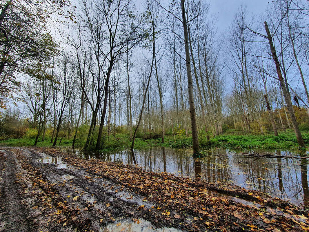 Terrain à BRISSY-HAMEGICOURT