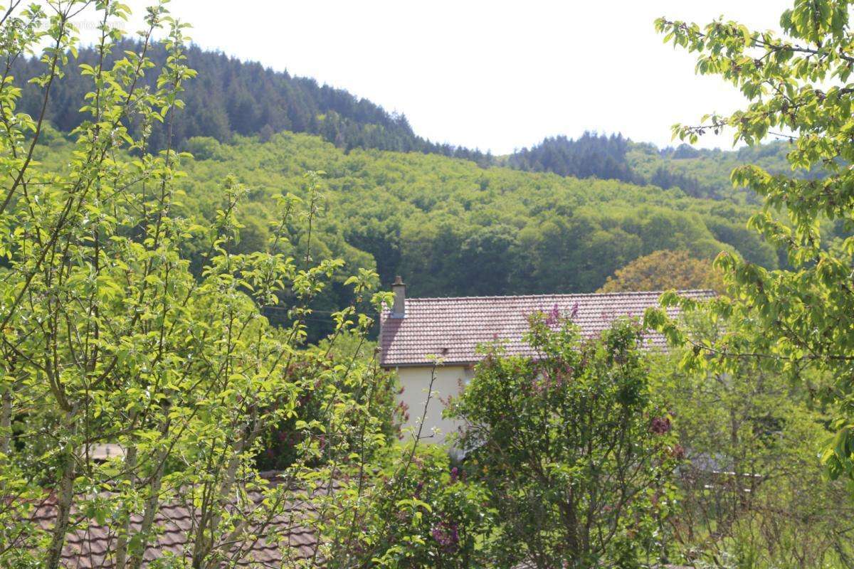 Maison à AUTUN