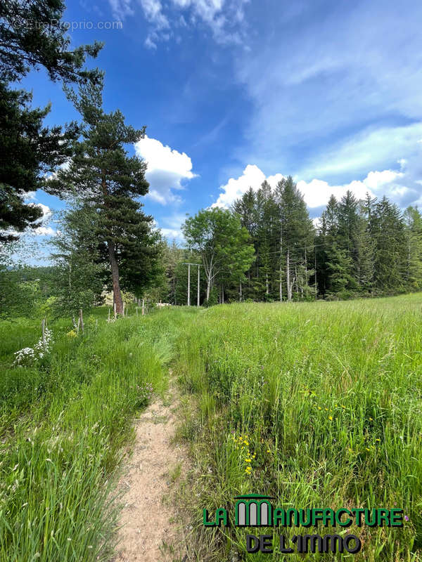 Terrain à DUNIERES