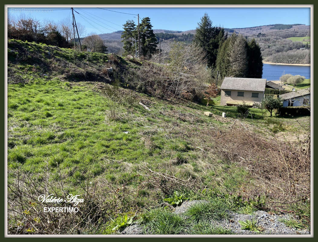 Terrain à LA SALVETAT-SUR-AGOUT